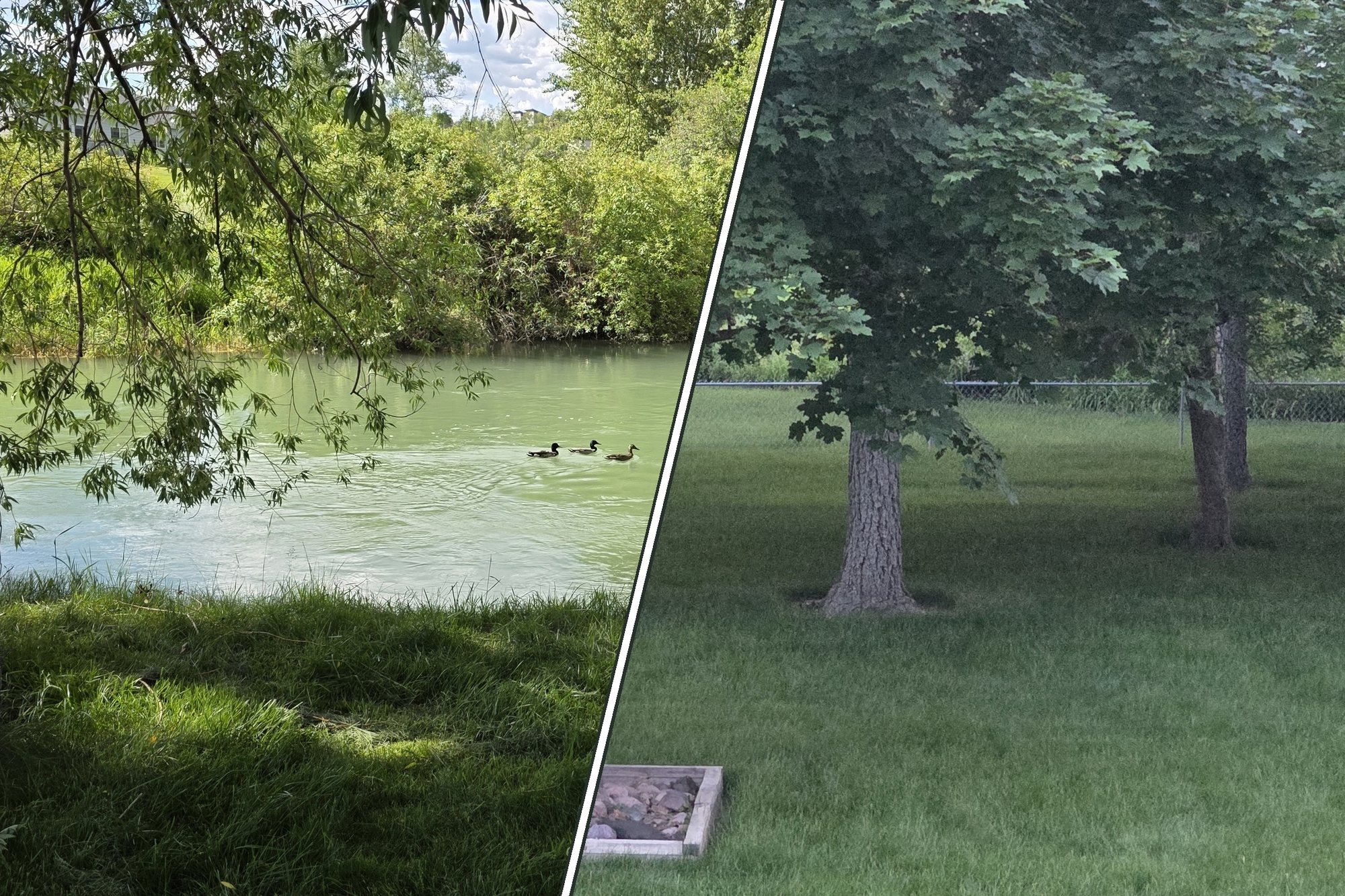 The First Acre — the Whitefish River and the private acre of lawn