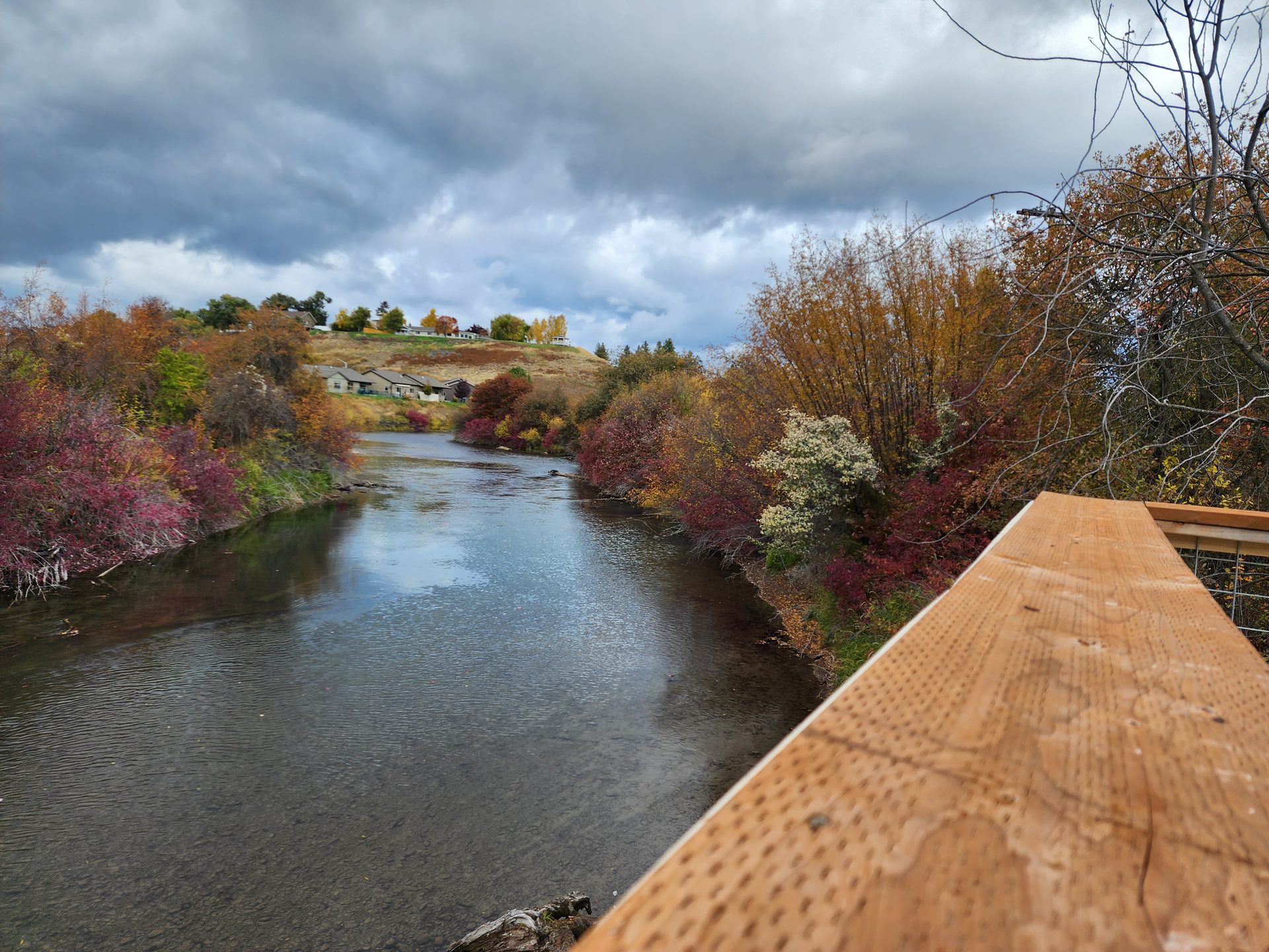An autumn bend in the Whitefish River lined with red and gold brush
