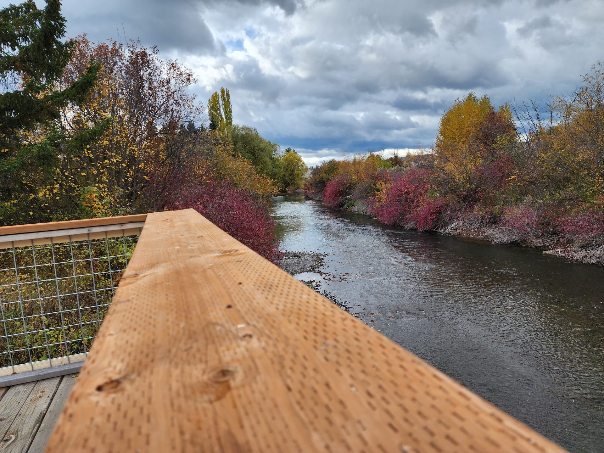 The Whitefish River in autumn, seen from the footbridge near the homes